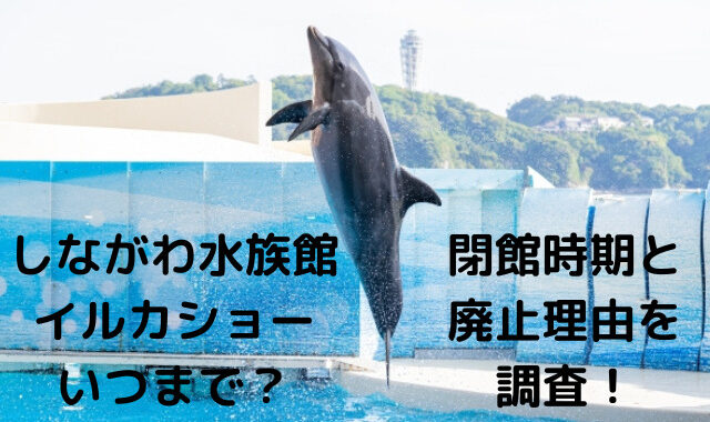 しながわ水族館イルカショーはいつまで 閉館時期や廃止理由も調査 ひじりノート