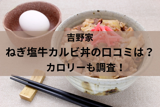 吉野家ねぎ塩牛カルビ丼23の口コミは カロリーも調査 ひじりノート